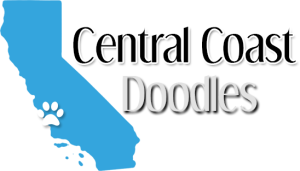 Central Coast Doodles